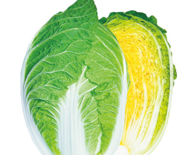 黄芯スプリンター