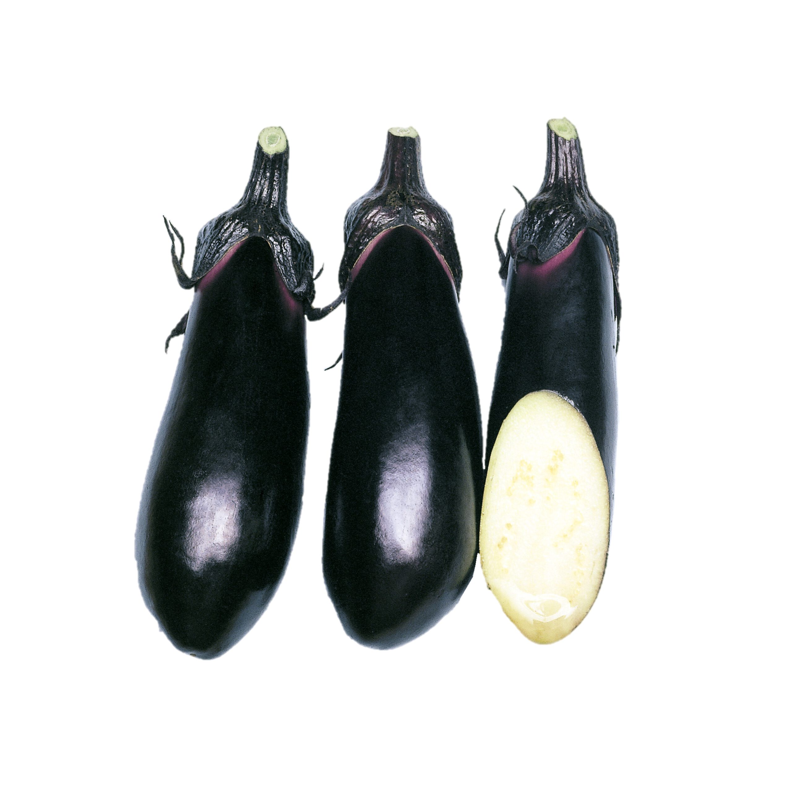 binann-scaled.jpg