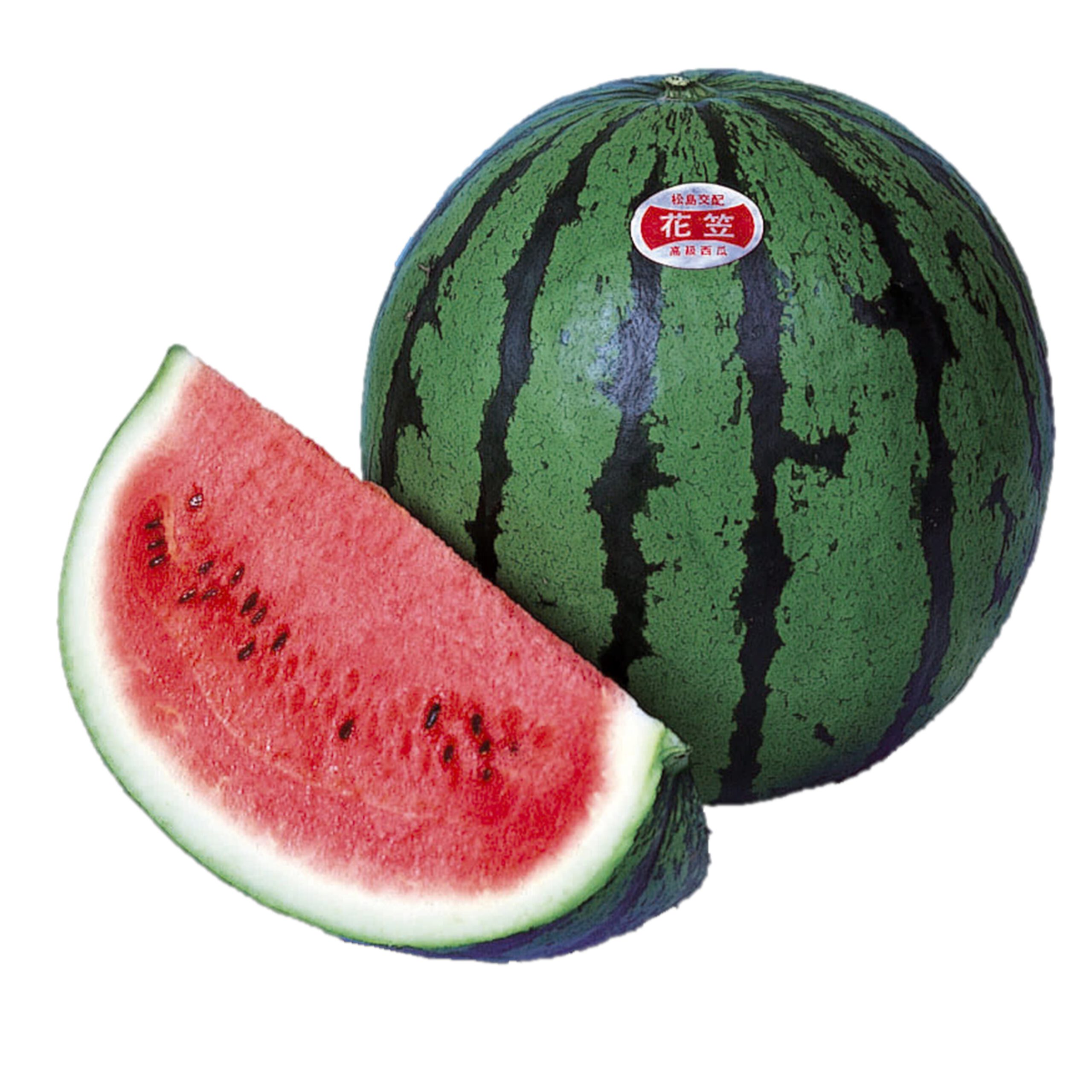 花笠 - 株式会社渡辺採種場｜良いタネは明日への希望。松島交配の渡辺