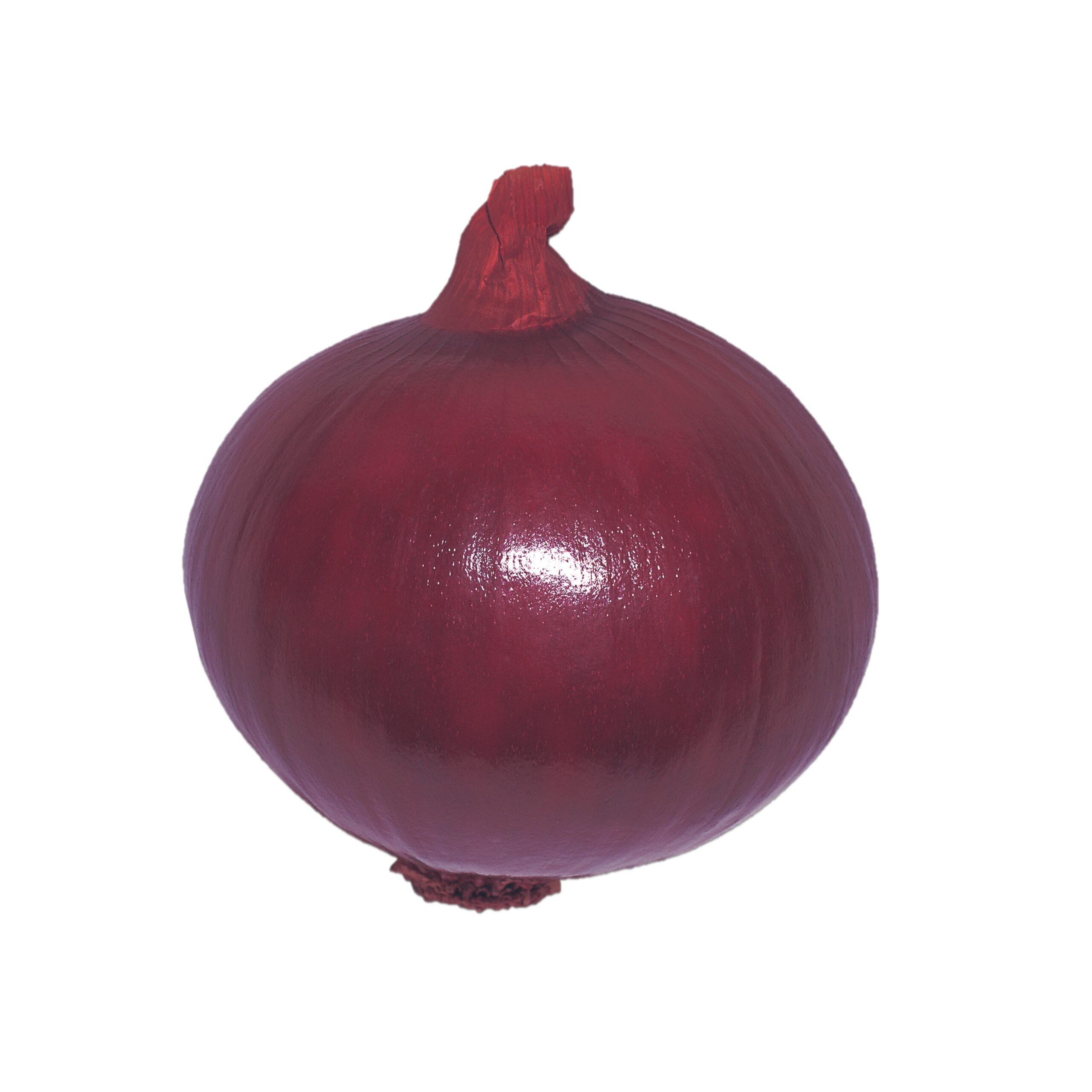 甲高ルージュ - 株式会社渡辺採種場｜良いタネは明日への希望。松島