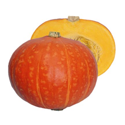 紅爵