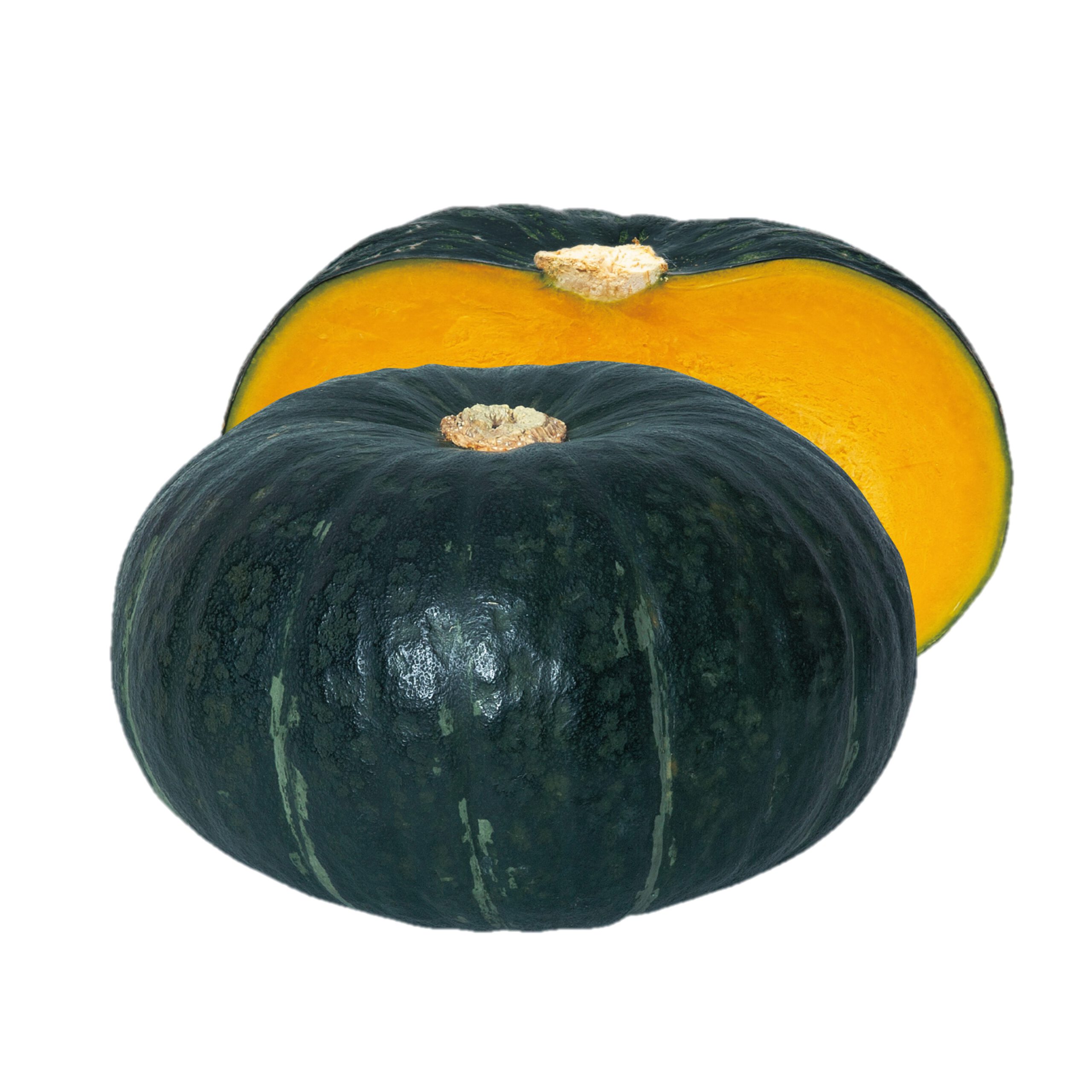 かぼちゃ 栗政宗 - 株式会社渡辺採種場｜良いタネは明日への希望。松島交配の