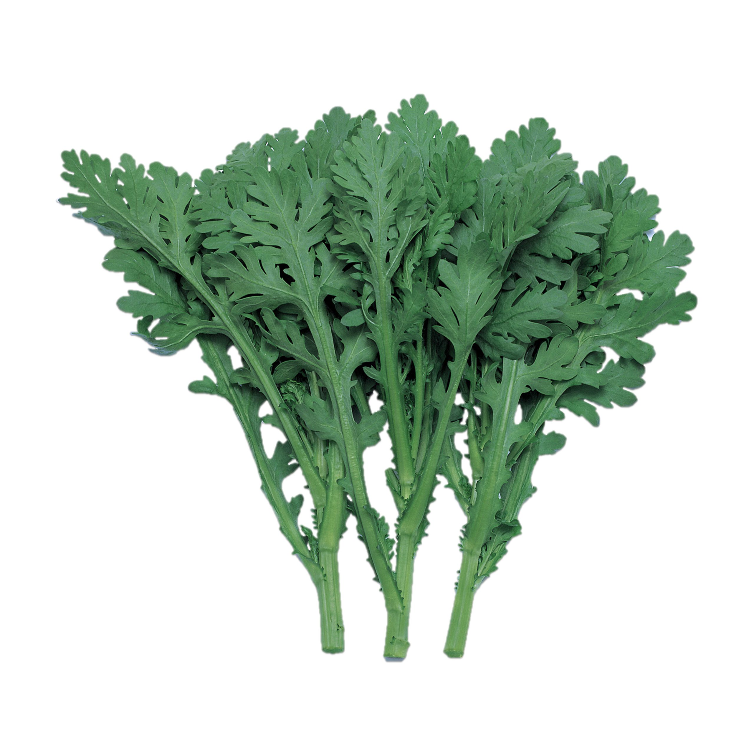 なべ奉行 シュンギク - 株式会社渡辺採種場｜良いタネは明日への希望