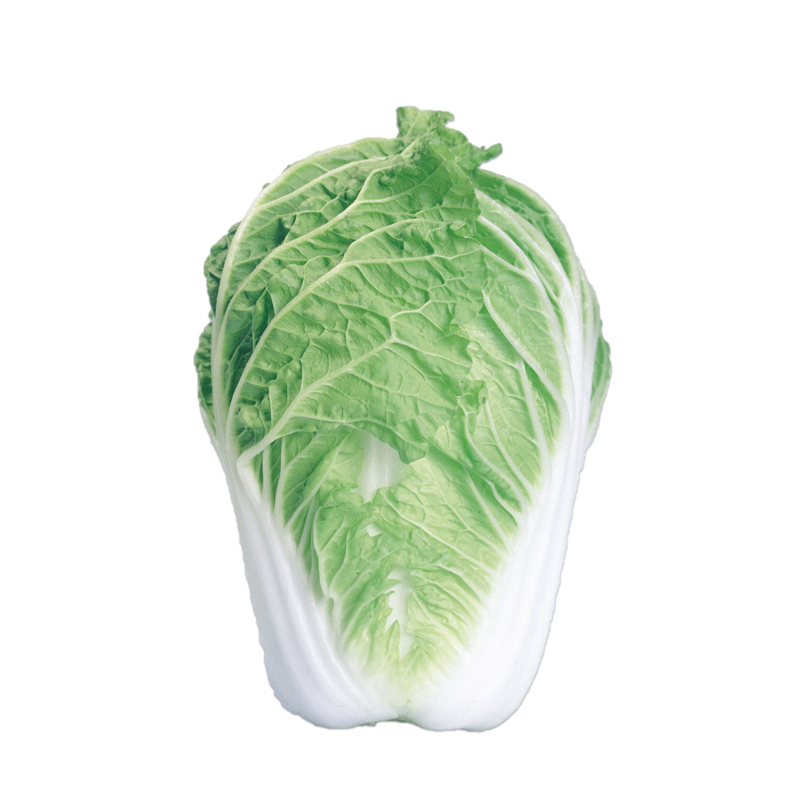 白菜 pd_17b76901bf41fd4a9981887aecb