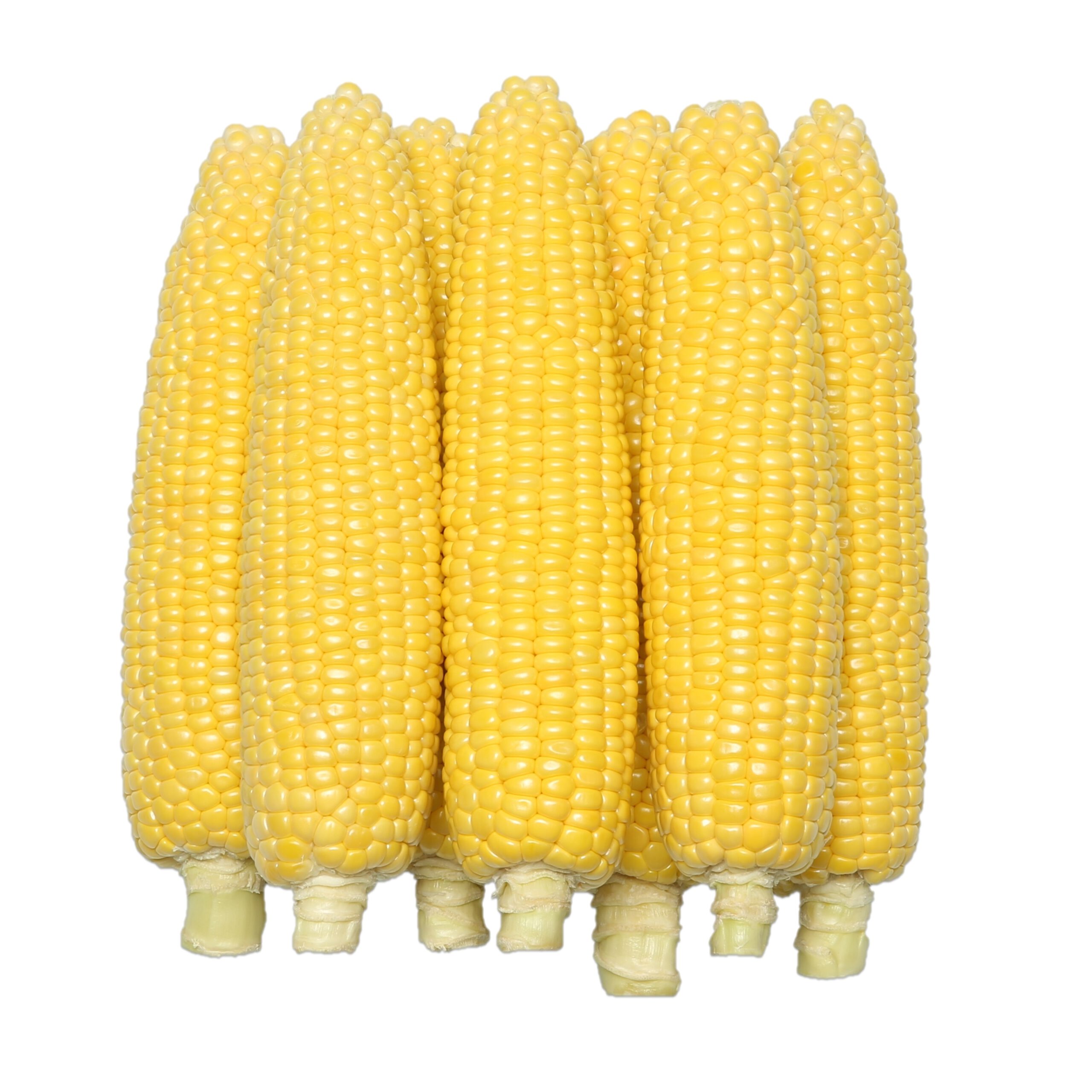 んめぇとみぎ90 - 株式会社渡辺採種場｜良いタネは明日への希望