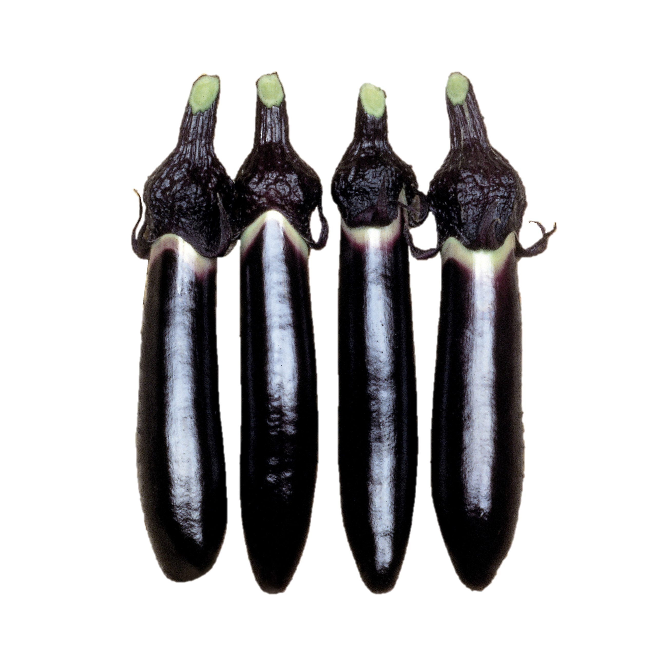 【ナス紺ボディー】1950’s FRUIT OF THE LOOM セットイン ナス紺ボディー】1950's FRUIT OF THE LOOM セットイン