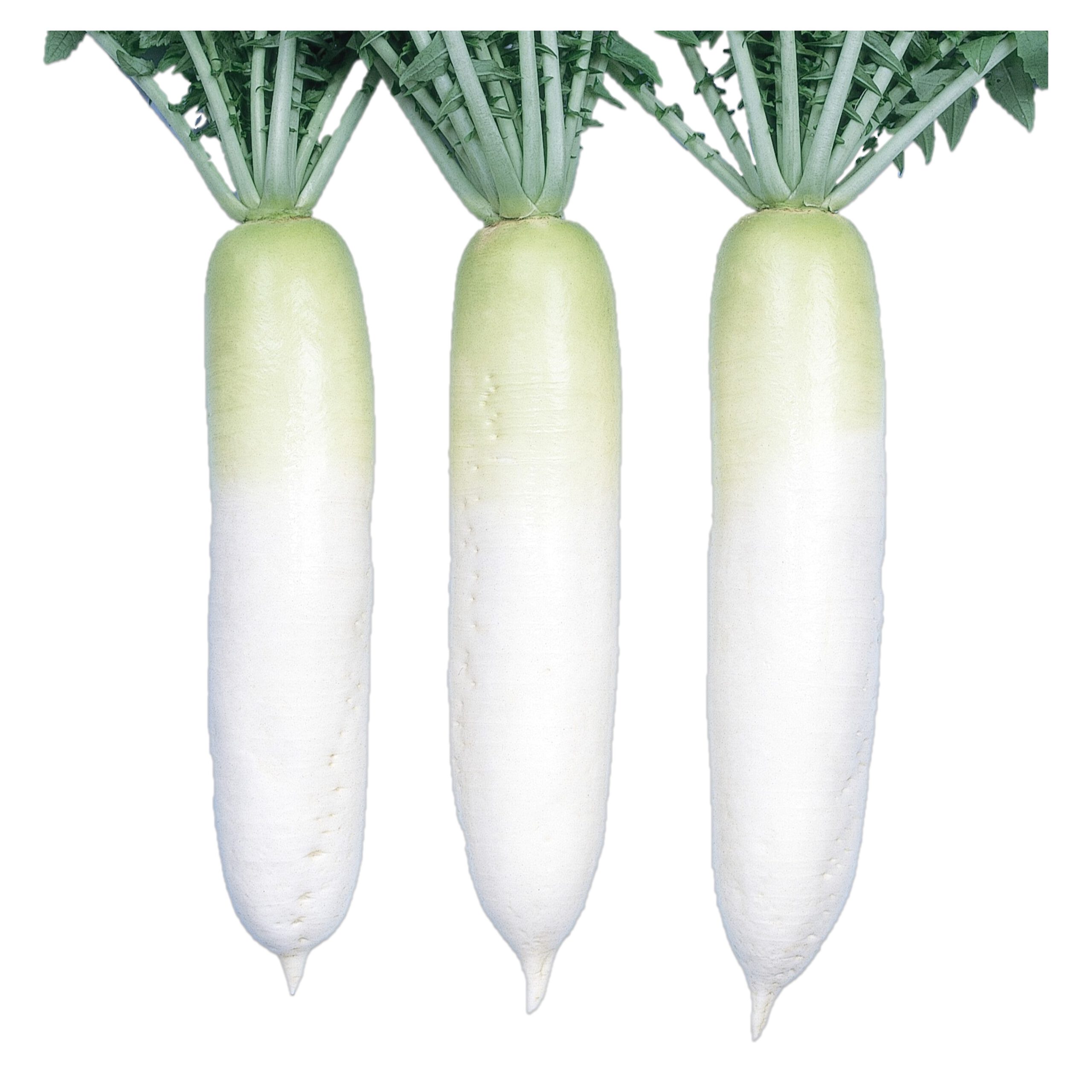 【根岸】 NEW OEM GENUINE Mazda 2017-2022 CX-5 Left Door Garnish Molding