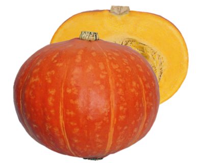 紅爵