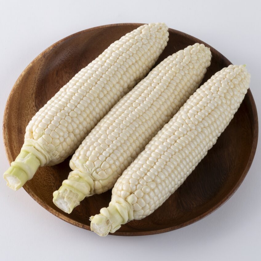 白くてんめぇとみぎ